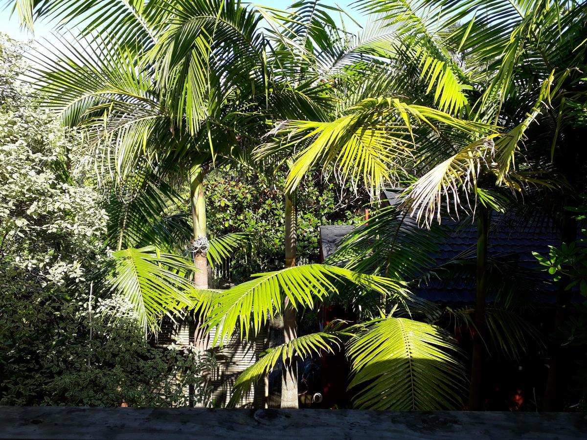 Tastebuds Bed N Breakfast Auckland Bagian luar foto
