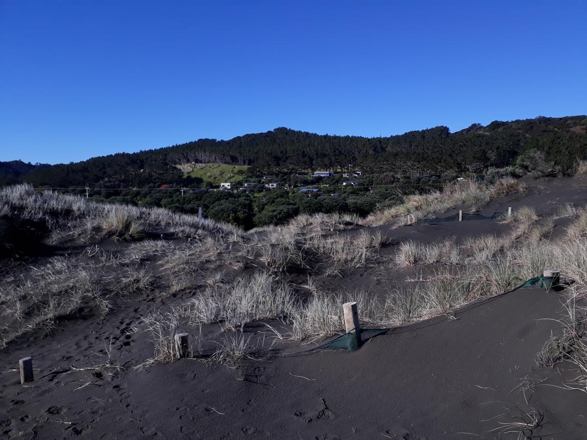 Tastebuds Bed N Breakfast Auckland Bagian luar foto