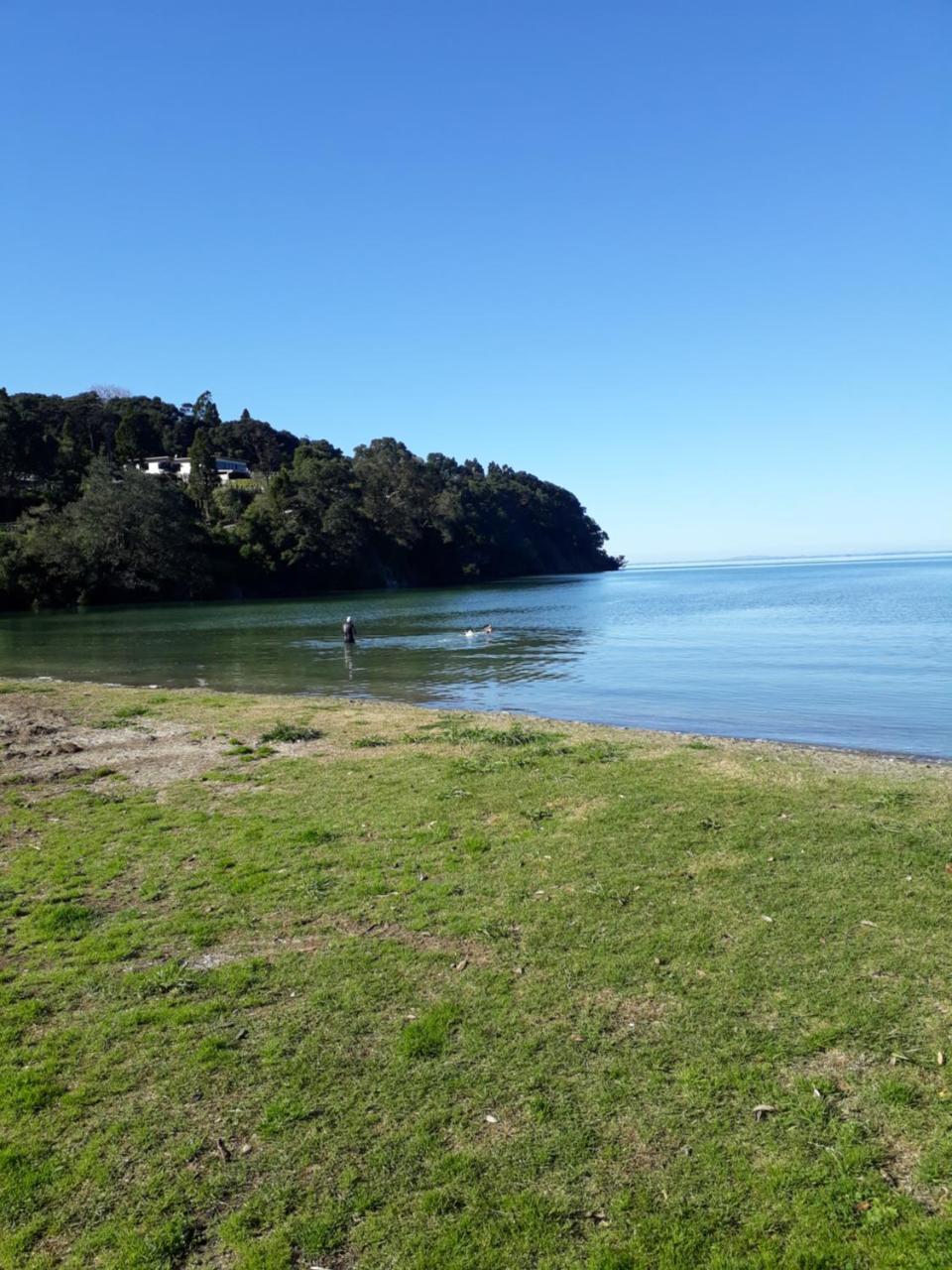 Tastebuds Bed N Breakfast Auckland Bagian luar foto