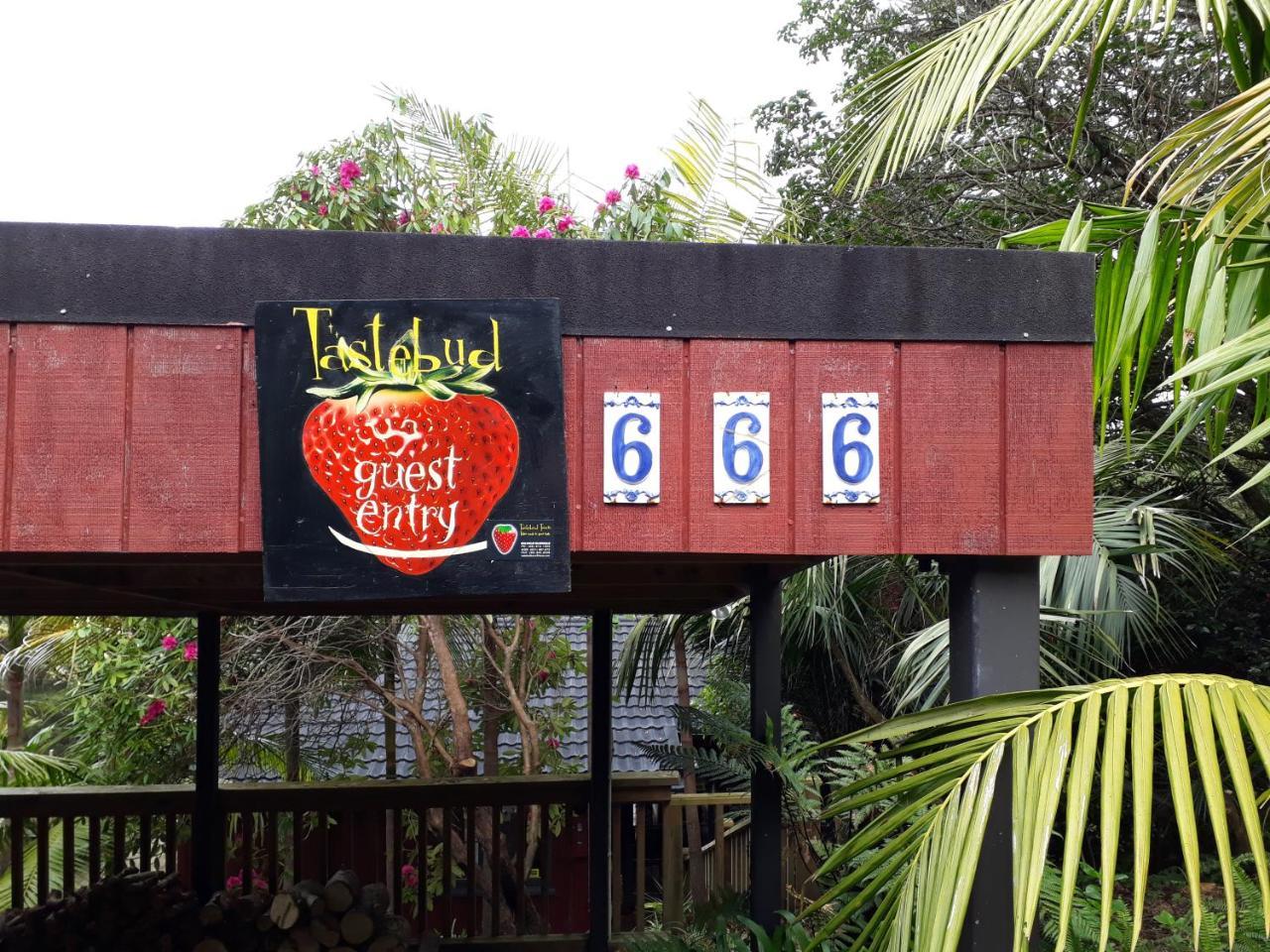 Tastebuds Bed N Breakfast Auckland Bagian luar foto