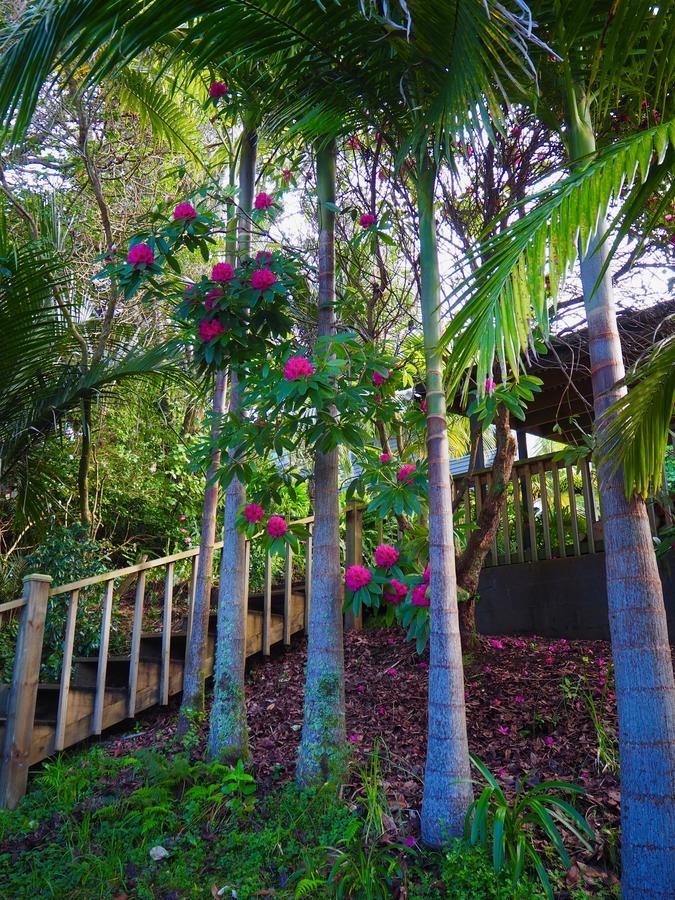 Tastebuds Bed N Breakfast Auckland Bagian luar foto